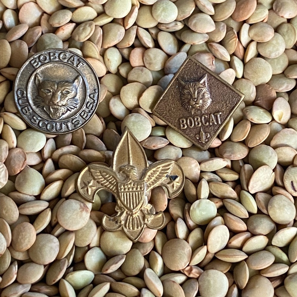Vintage Boy Scouts Bobcat Pin Lot (3) Cub Scout Scouting America